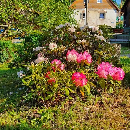 Locations Dupertuis Alsace Apartment