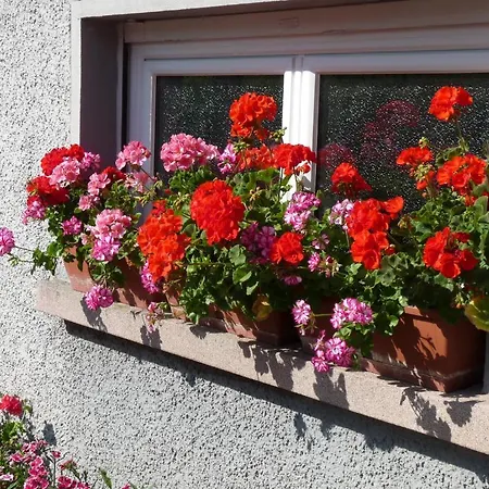 Locations Dupertuis Alsace