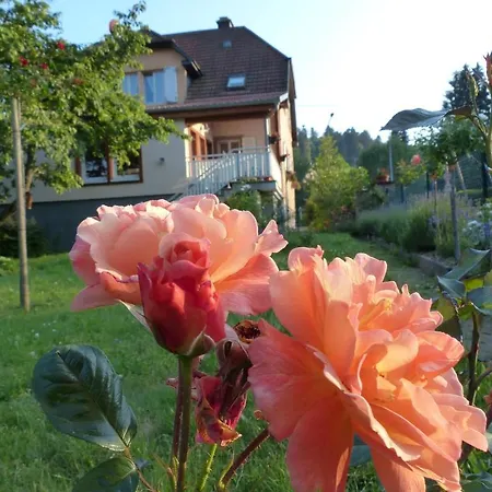 Locations Dupertuis Alsace