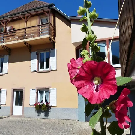 Locations Dupertuis Alsace Apartman